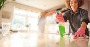 tip a house cleaning service